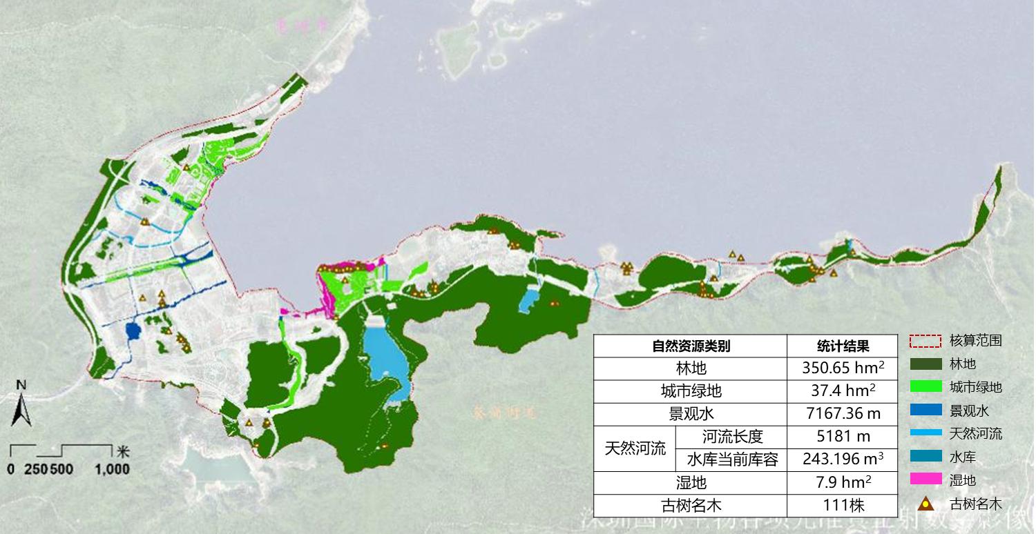 廣東·深圳 大鵬新區國際生物谷壩光核心啟動區生態系統修復提升策略研究